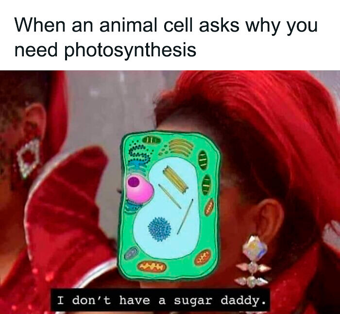 Brainy Biology Memes For Those Who Love A Little Dose Of Science Daily (67 Posts)