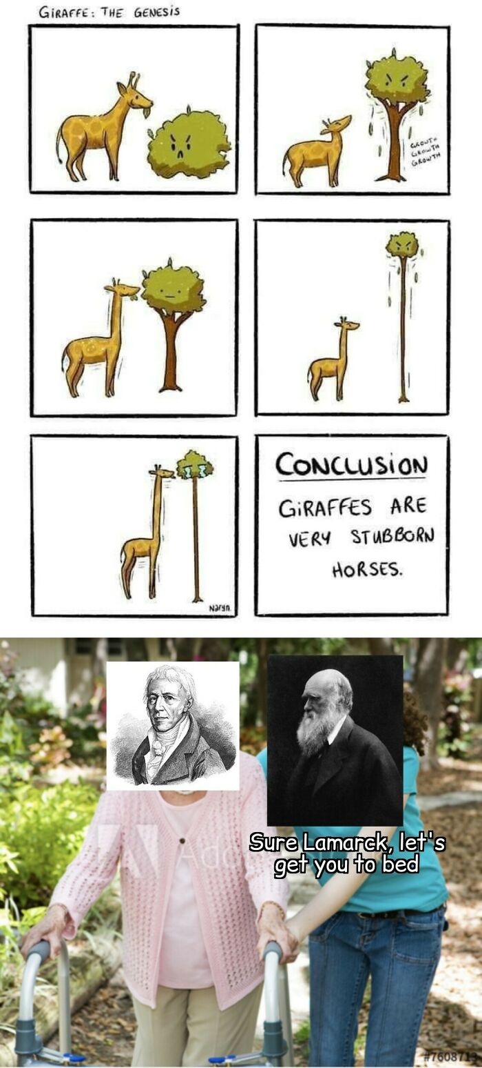 Brainy Biology Memes For Those Who Love A Little Dose Of Science Daily (67 Posts)