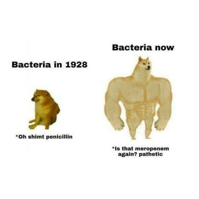 Brainy Biology Memes For Those Who Love A Little Dose Of Science Daily (67 Posts)