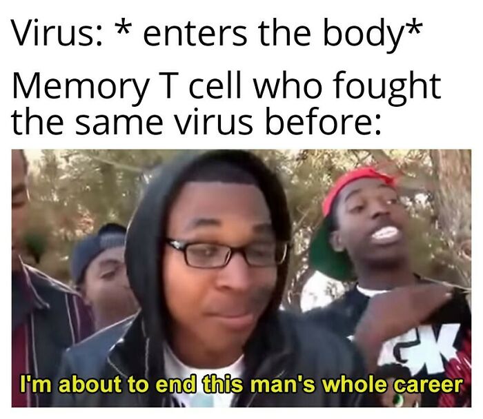 Brainy Biology Memes For Those Who Love A Little Dose Of Science Daily (67 Posts)