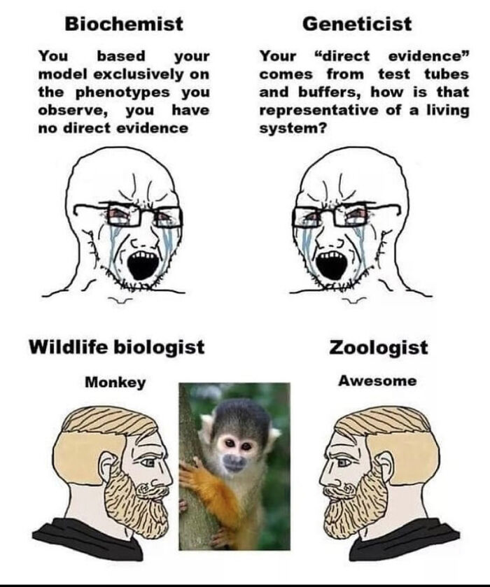 Brainy Biology Memes For Those Who Love A Little Dose Of Science Daily (67 Posts)