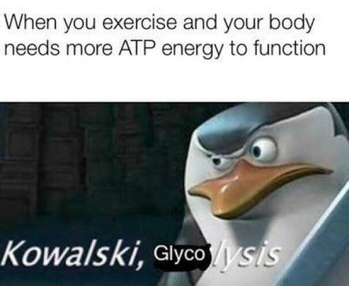 Brainy Biology Memes For Those Who Love A Little Dose Of Science Daily (67 Posts)