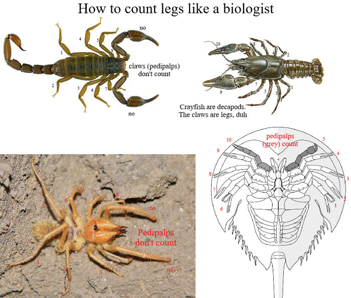 Brainy Biology Memes For Those Who Love A Little Dose Of Science Daily (67 Posts)