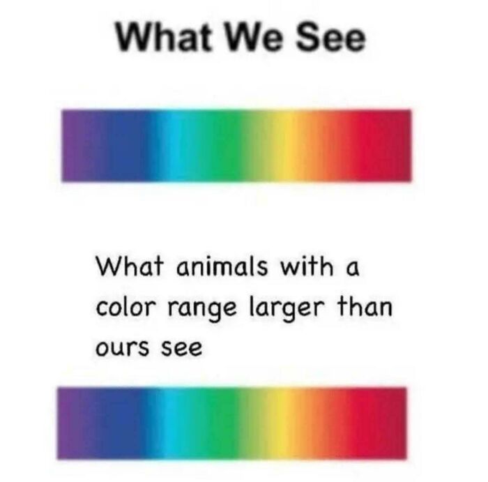Brainy Biology Memes For Those Who Love A Little Dose Of Science Daily (67 Posts)