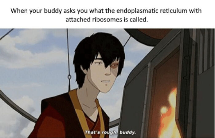 Brainy Biology Memes For Those Who Love A Little Dose Of Science Daily (67 Posts)