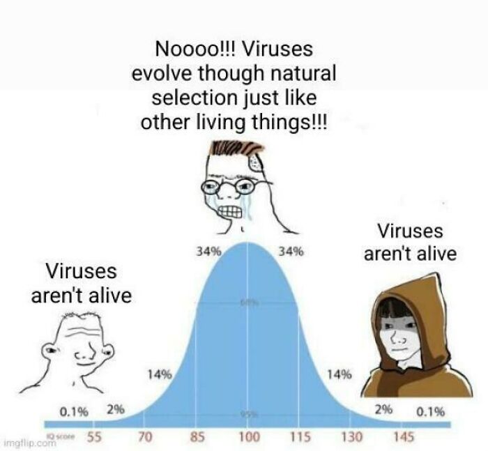 Brainy Biology Memes For Those Who Love A Little Dose Of Science Daily (67 Posts)