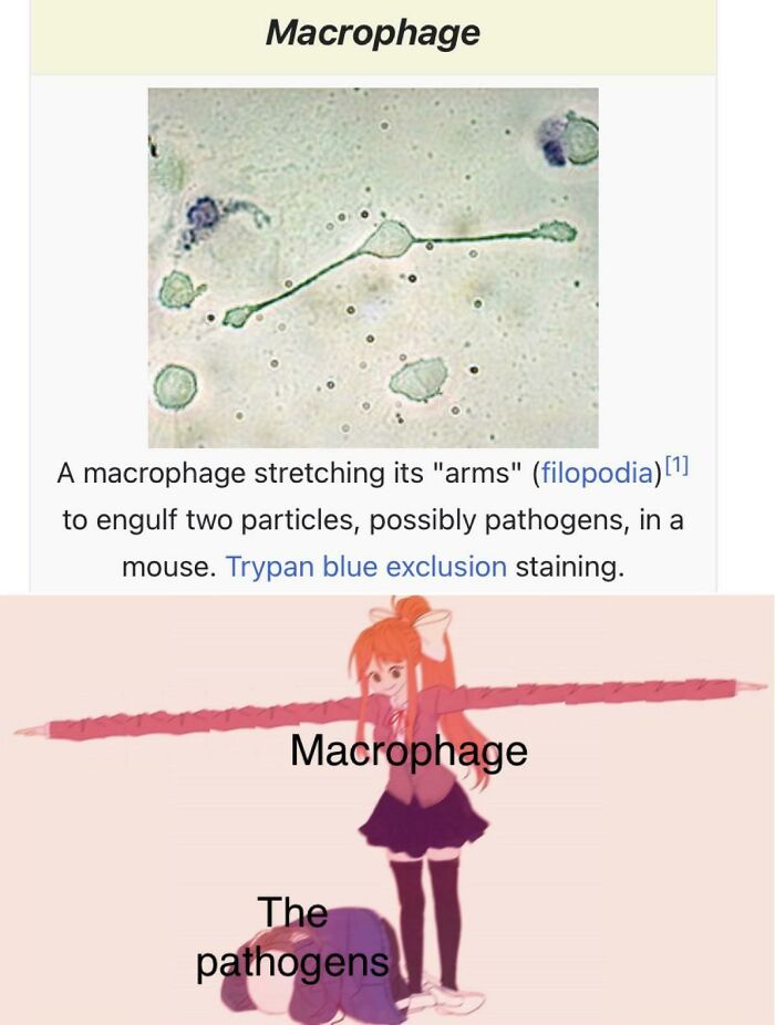 Brainy Biology Memes For Those Who Love A Little Dose Of Science Daily (67 Posts)