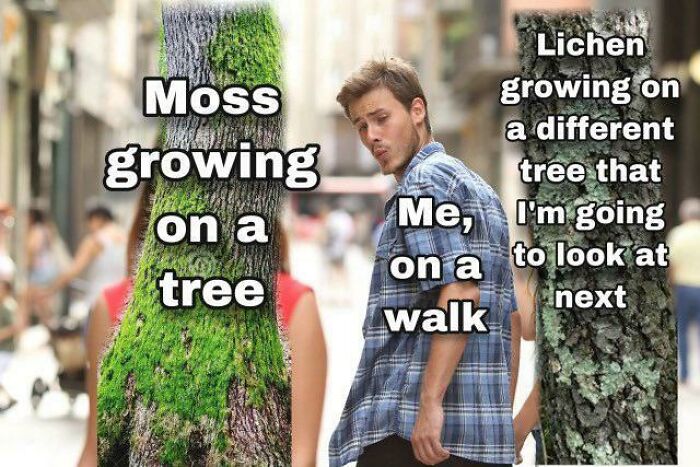 Brainy Biology Memes For Those Who Love A Little Dose Of Science Daily (67 Posts)