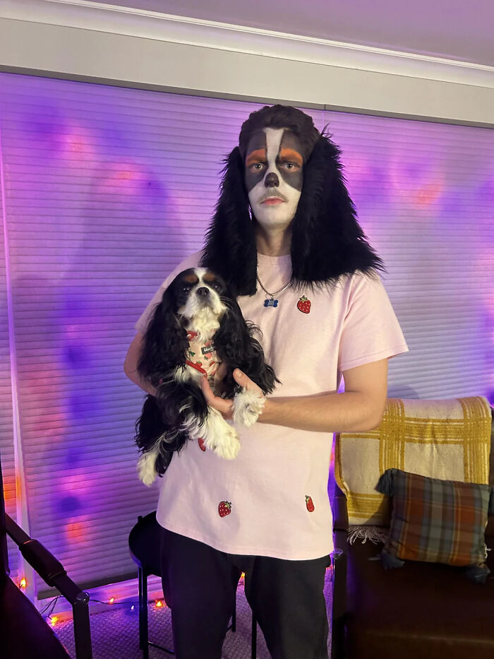 70 Of The Cutest And Most Creative Pet Halloween Costumes