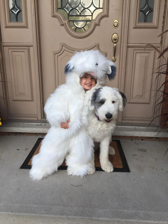 70 Of The Cutest And Most Creative Pet Halloween Costumes