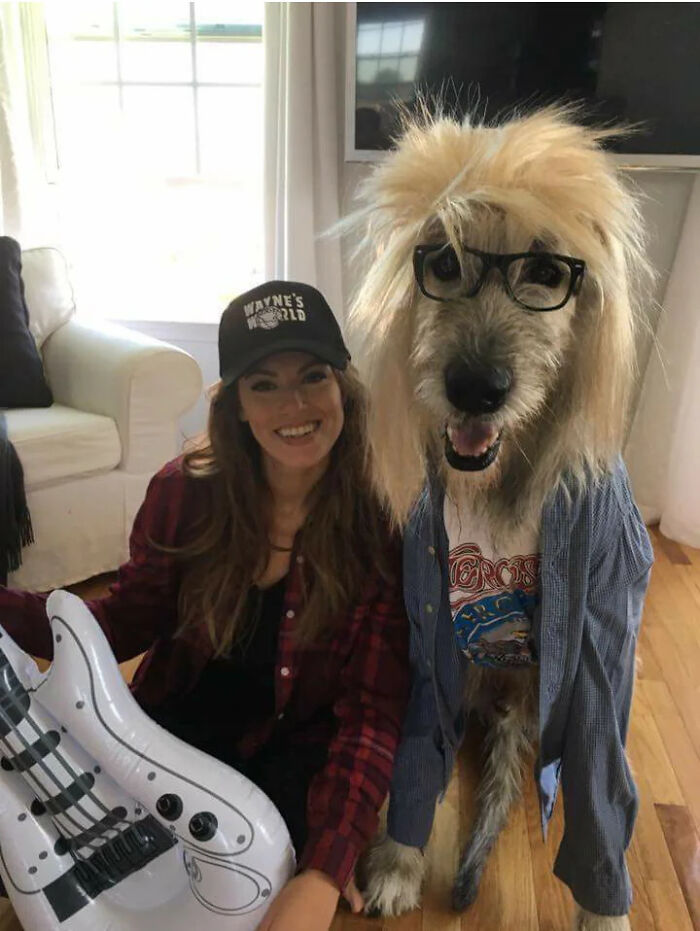70 Of The Cutest And Most Creative Pet Halloween Costumes