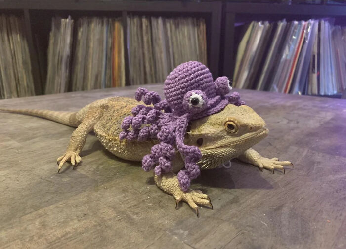 70 Of The Cutest And Most Creative Pet Halloween Costumes