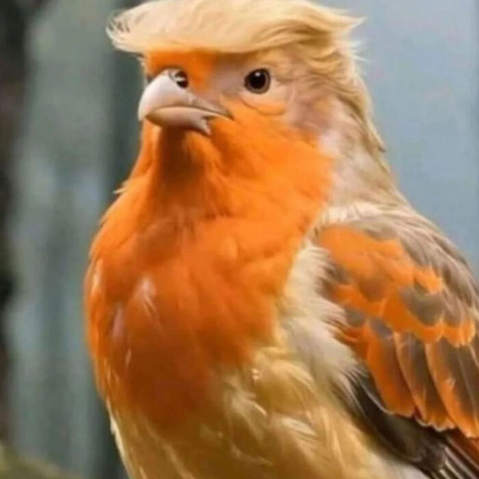 54 Hilarious Photos Of Angry Birds Showing Just How Mean They Can Be (New Pics)