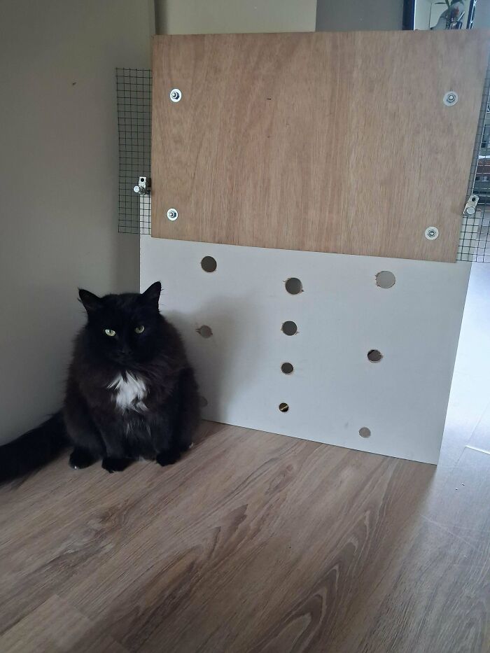 80 Of The Funniest And Most Questionable DIY Projects People Have Ever Shared Online (New Pics)