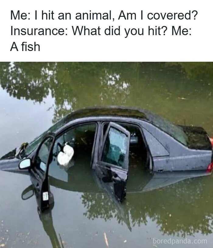 65 Strange And Funny Pics That Are Exactly The Kind Of Random The Internet Does Best (New Pics)