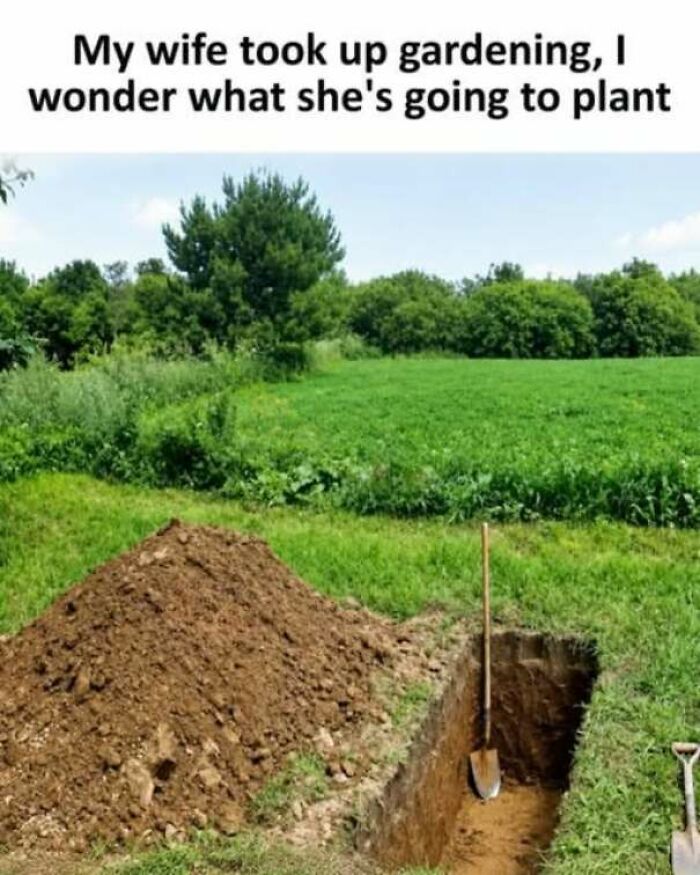65 Strange And Funny Pics That Are Exactly The Kind Of Random The Internet Does Best (New Pics)