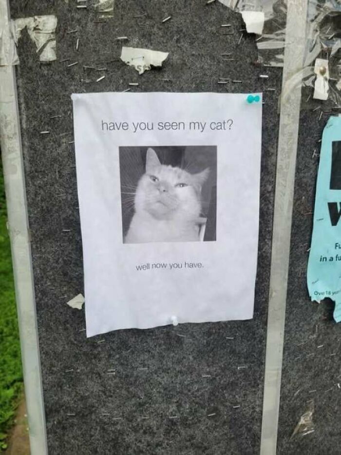 65 Strange And Funny Pics That Are Exactly The Kind Of Random The Internet Does Best (New Pics)