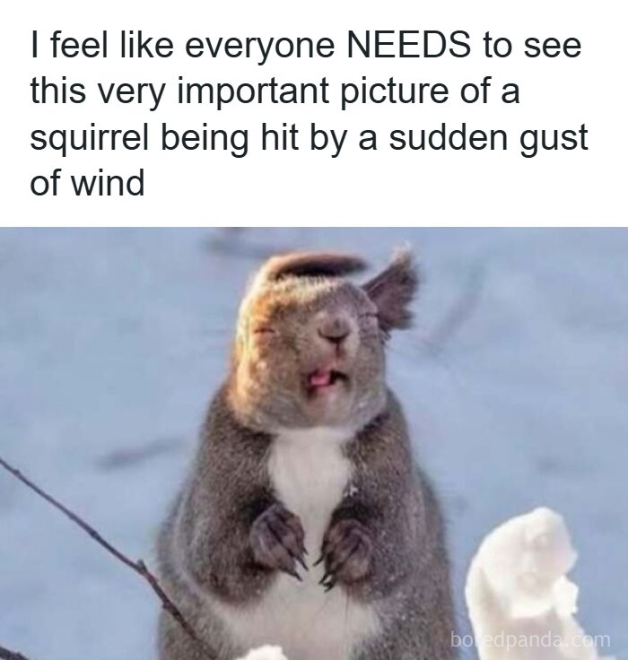 65 Strange And Funny Pics That Are Exactly The Kind Of Random The Internet Does Best (New Pics)