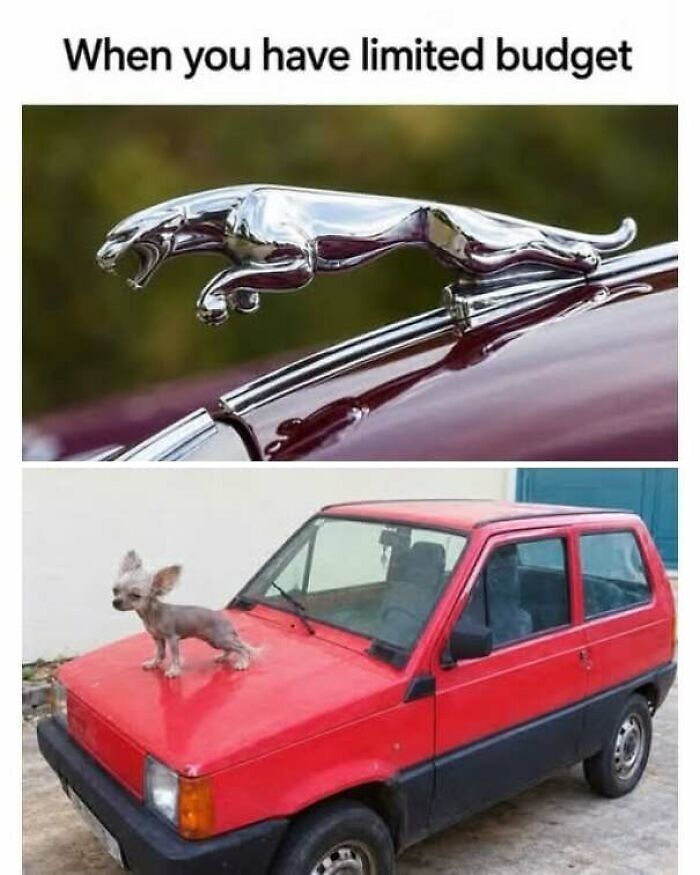 65 Strange And Funny Pics That Are Exactly The Kind Of Random The Internet Does Best (New Pics)