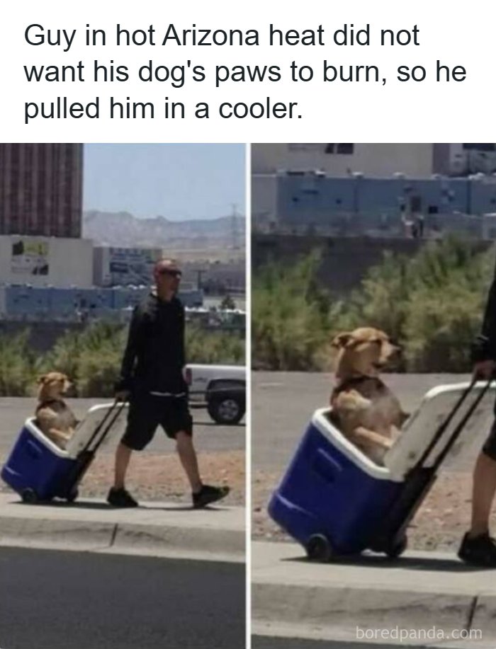 65 Strange And Funny Pics That Are Exactly The Kind Of Random The Internet Does Best (New Pics)