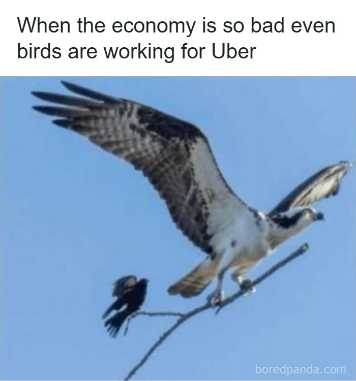65 Strange And Funny Pics That Are Exactly The Kind Of Random The Internet Does Best (New Pics)