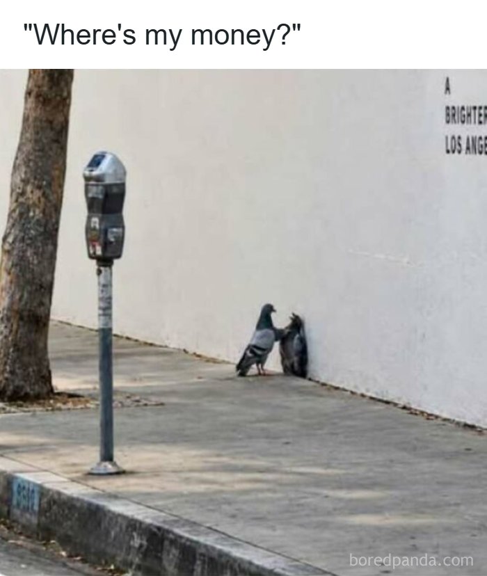 65 Strange And Funny Pics That Are Exactly The Kind Of Random The Internet Does Best (New Pics)