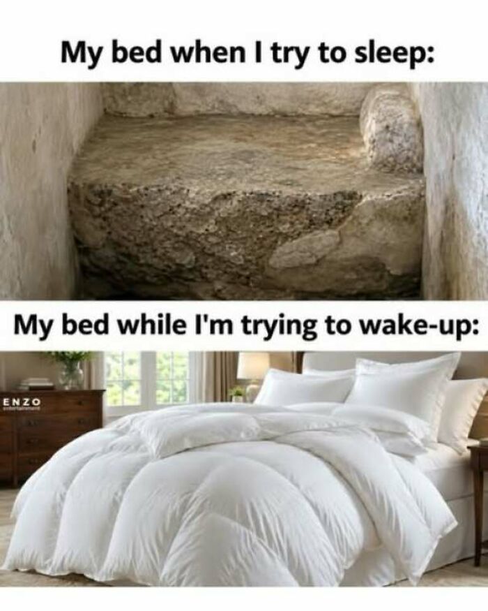 65 Strange And Funny Pics That Are Exactly The Kind Of Random The Internet Does Best (New Pics)