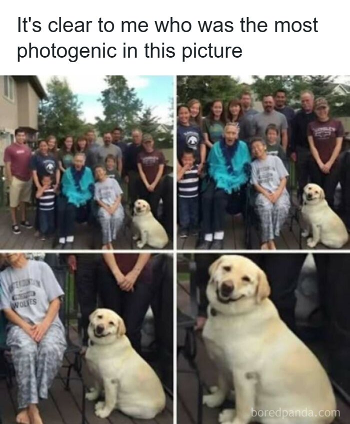 65 Strange And Funny Pics That Are Exactly The Kind Of Random The Internet Does Best (New Pics)