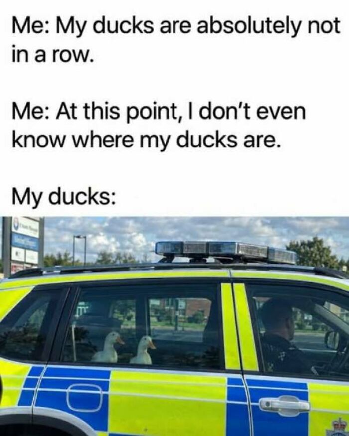 65 Strange And Funny Pics That Are Exactly The Kind Of Random The Internet Does Best (New Pics)
