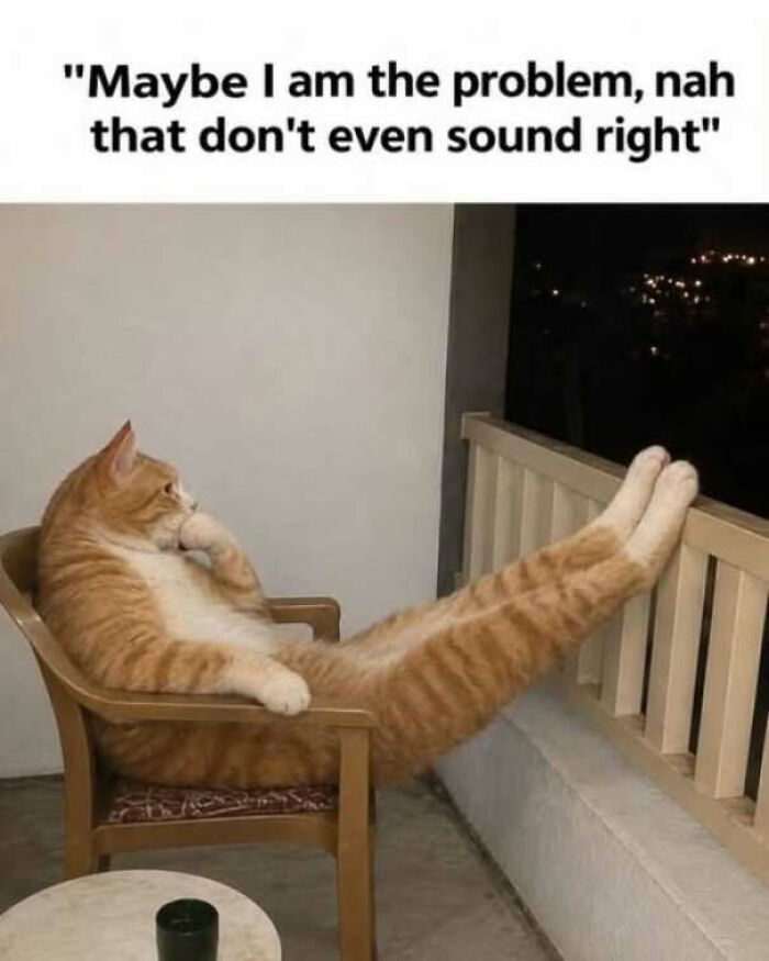65 Strange And Funny Pics That Are Exactly The Kind Of Random The Internet Does Best (New Pics)