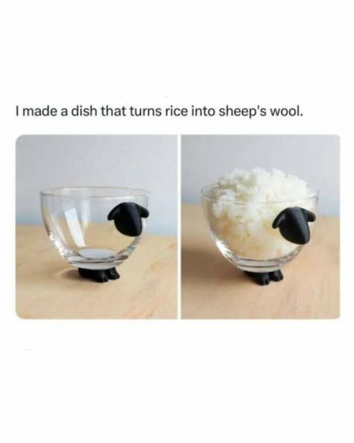 65 Strange And Funny Pics That Are Exactly The Kind Of Random The Internet Does Best (New Pics)
