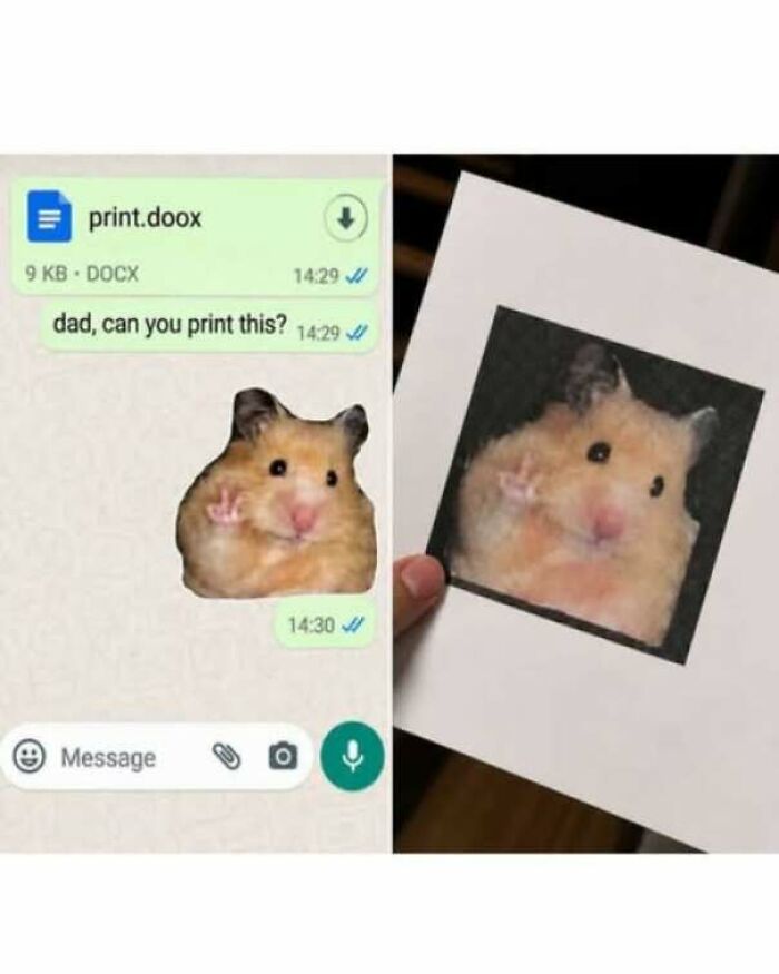 65 Strange And Funny Pics That Are Exactly The Kind Of Random The Internet Does Best (New Pics)