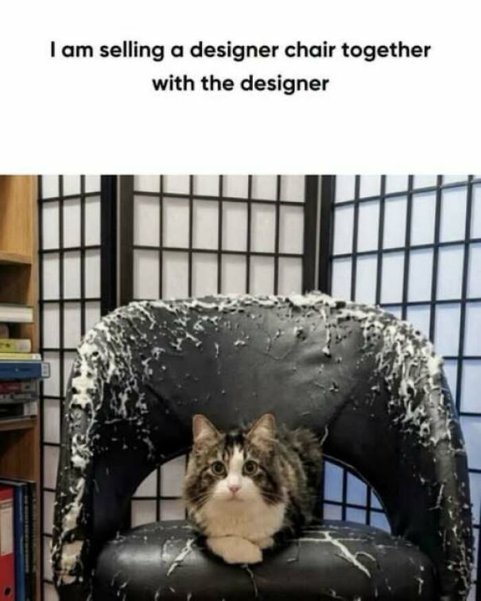 65 Strange And Funny Pics That Are Exactly The Kind Of Random The Internet Does Best (New Pics)