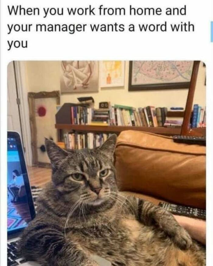 65 Strange And Funny Pics That Are Exactly The Kind Of Random The Internet Does Best (New Pics)