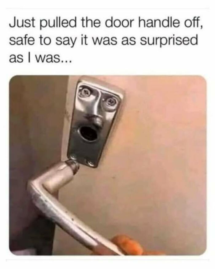 65 Strange And Funny Pics That Are Exactly The Kind Of Random The Internet Does Best (New Pics)