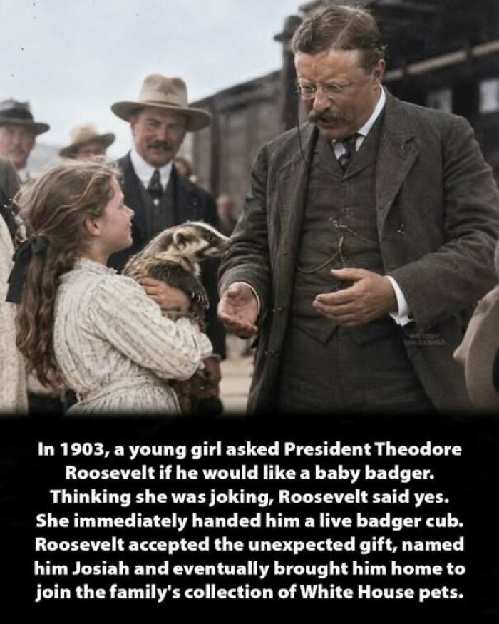 56 Interesting History Moments That Prove Learning About The Past Is Not Boring 56 Interesting History Moments That Prove Learning About The Past Is Not Boring