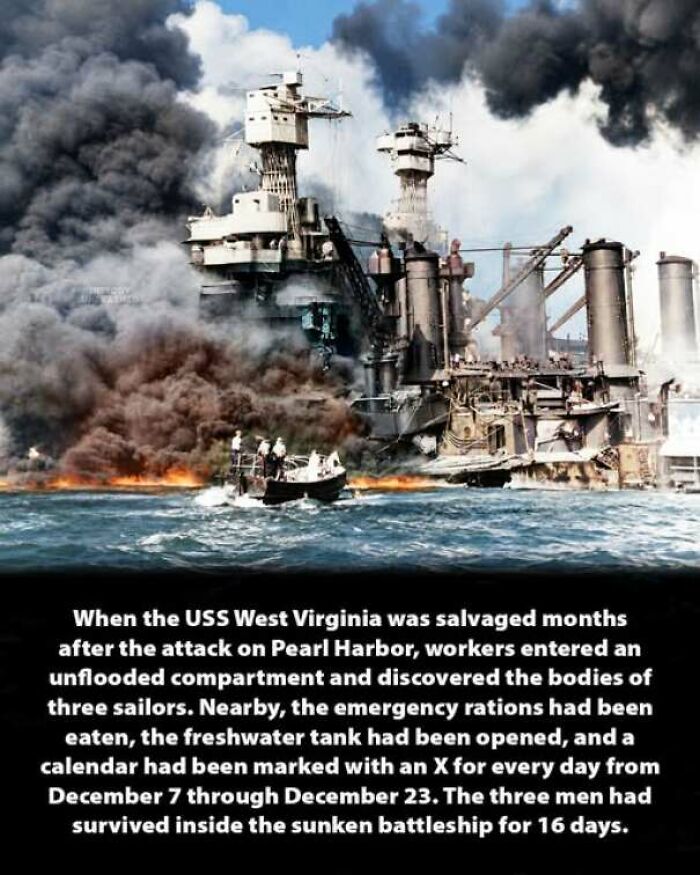56 Interesting History Moments That Prove Learning About The Past Is Not Boring 56 Interesting History Moments That Prove Learning About The Past Is Not Boring