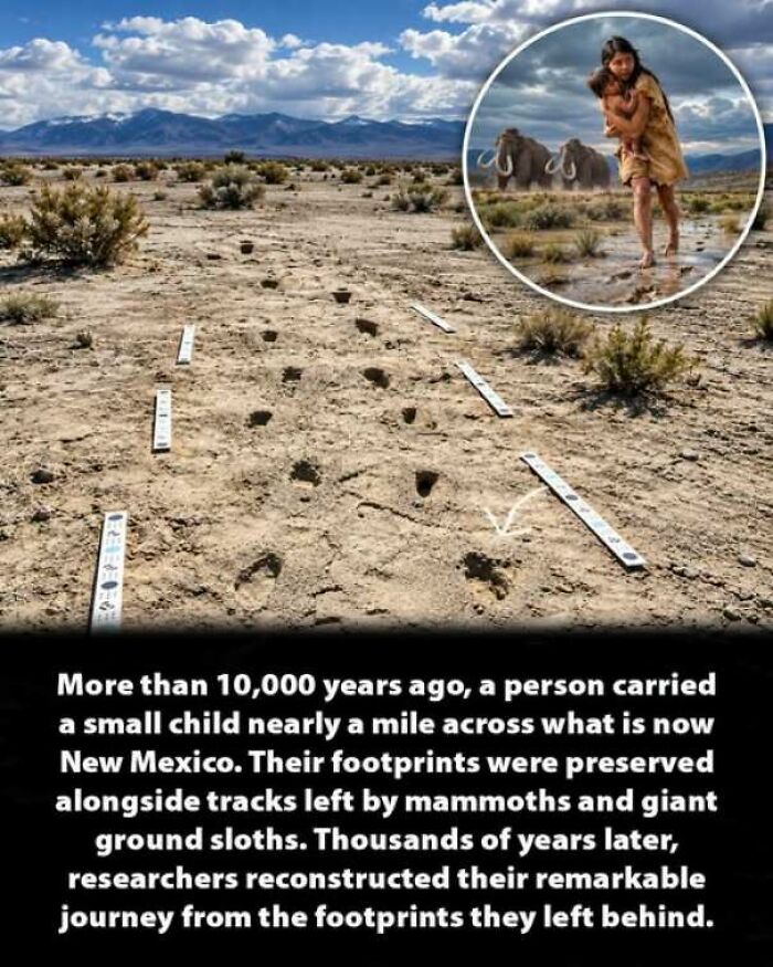 56 Interesting History Moments That Prove Learning About The Past Is Not Boring 56 Interesting History Moments That Prove Learning About The Past Is Not Boring