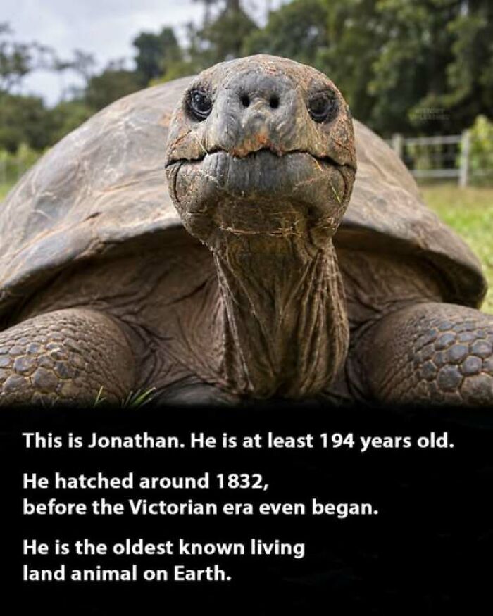 56 Interesting History Moments That Prove Learning About The Past Is Not Boring 56 Interesting History Moments That Prove Learning About The Past Is Not Boring