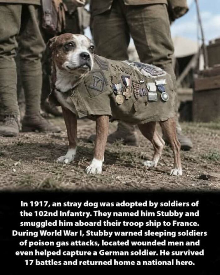 56 Interesting History Moments That Prove Learning About The Past Is Not Boring 56 Interesting History Moments That Prove Learning About The Past Is Not Boring