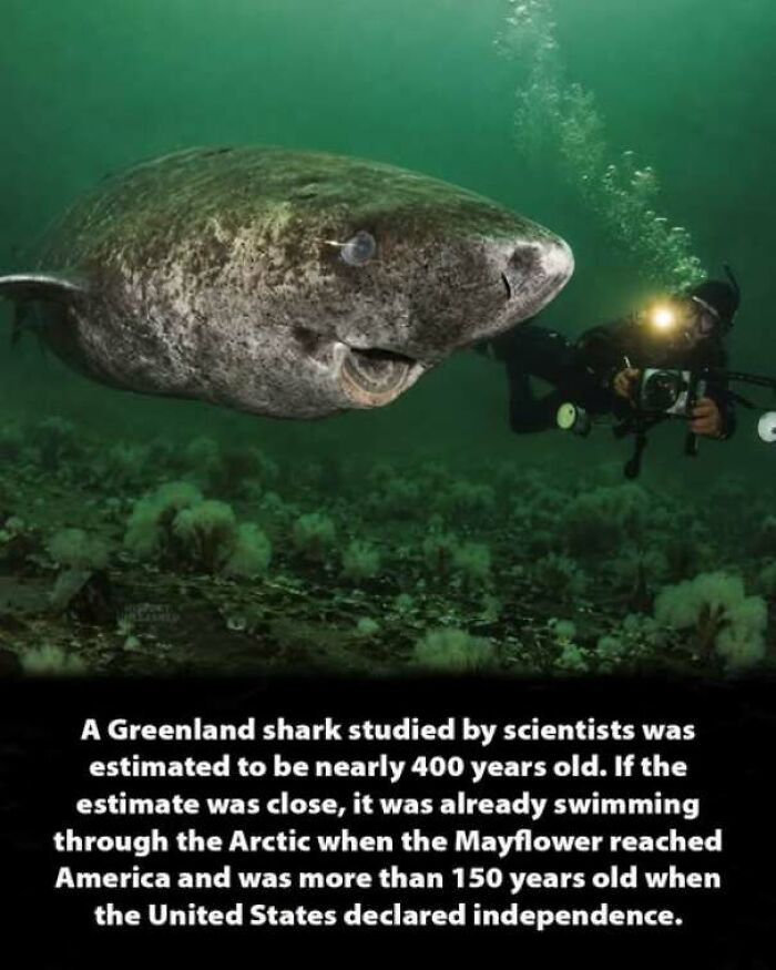 56 Interesting History Moments That Prove Learning About The Past Is Not Boring 56 Interesting History Moments That Prove Learning About The Past Is Not Boring