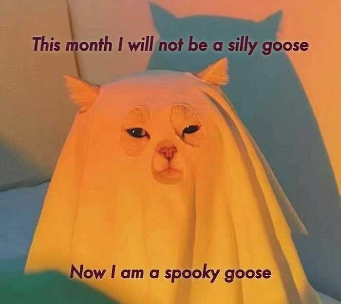 77 Spooky Season Memes That Make Every Other Holiday Feel A Little Boring 77 Spooky Season Memes That Make Every Other Holiday Feel A Little Boring