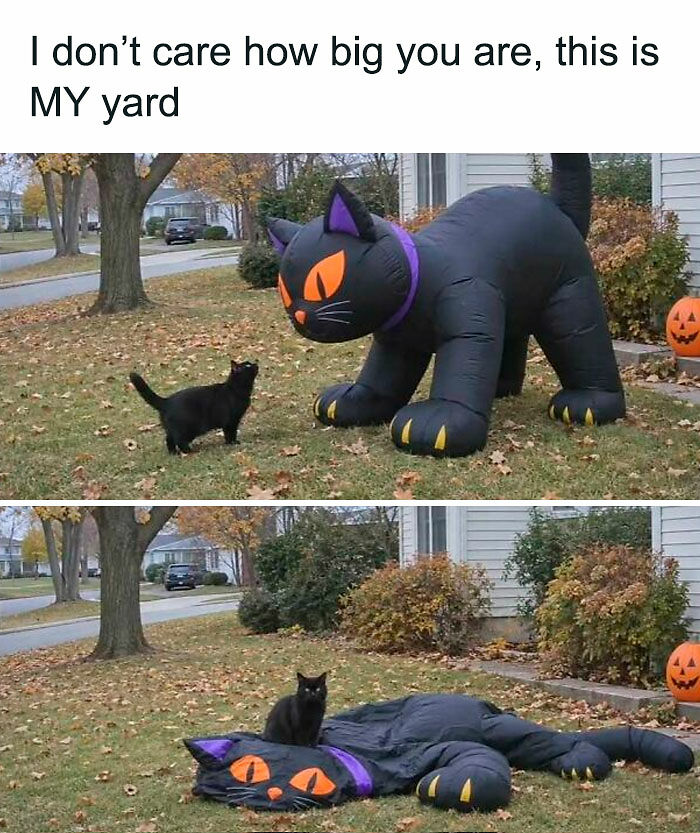 77 Spooky Season Memes That Make Every Other Holiday Feel A Little Boring 77 Spooky Season Memes That Make Every Other Holiday Feel A Little Boring