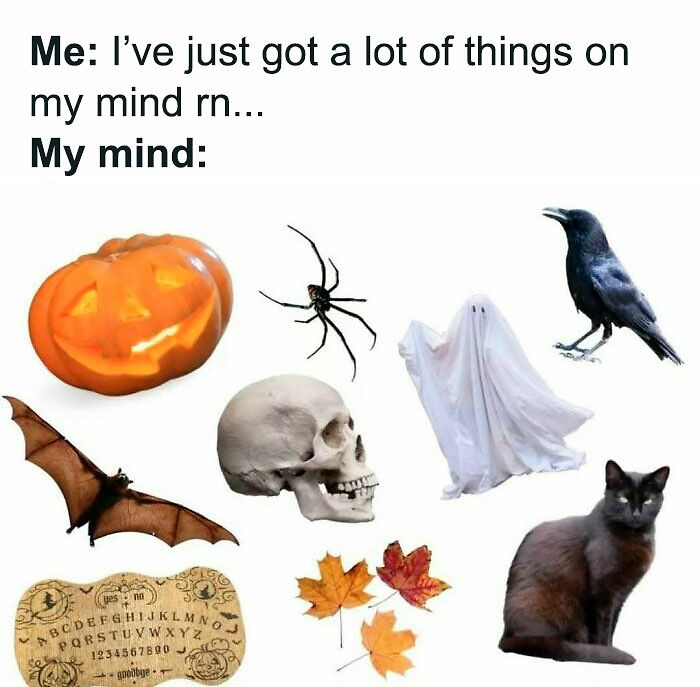 77 Spooky Season Memes That Make Every Other Holiday Feel A Little Boring 77 Spooky Season Memes That Make Every Other Holiday Feel A Little Boring