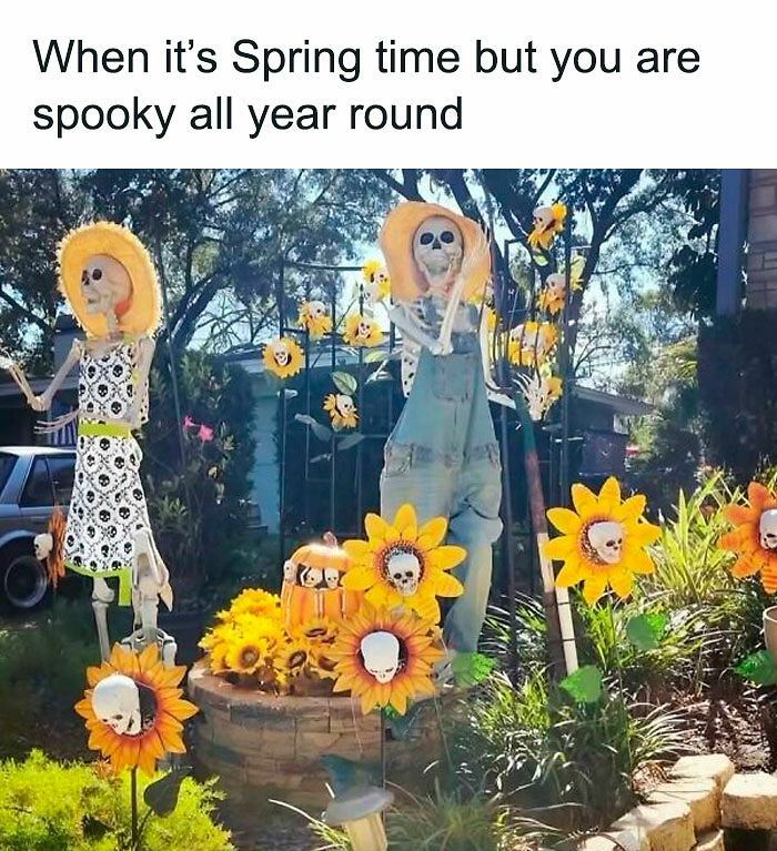 77 Spooky Season Memes That Make Every Other Holiday Feel A Little Boring 77 Spooky Season Memes That Make Every Other Holiday Feel A Little Boring