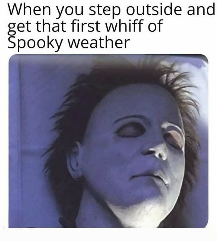 77 Spooky Season Memes That Make Every Other Holiday Feel A Little Boring 77 Spooky Season Memes That Make Every Other Holiday Feel A Little Boring