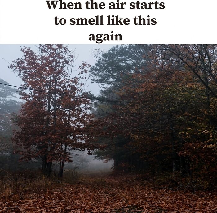 77 Spooky Season Memes That Make Every Other Holiday Feel A Little Boring 77 Spooky Season Memes That Make Every Other Holiday Feel A Little Boring