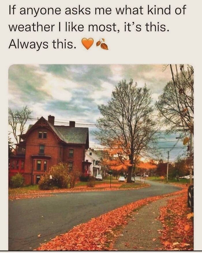 77 Spooky Season Memes That Make Every Other Holiday Feel A Little Boring 77 Spooky Season Memes That Make Every Other Holiday Feel A Little Boring