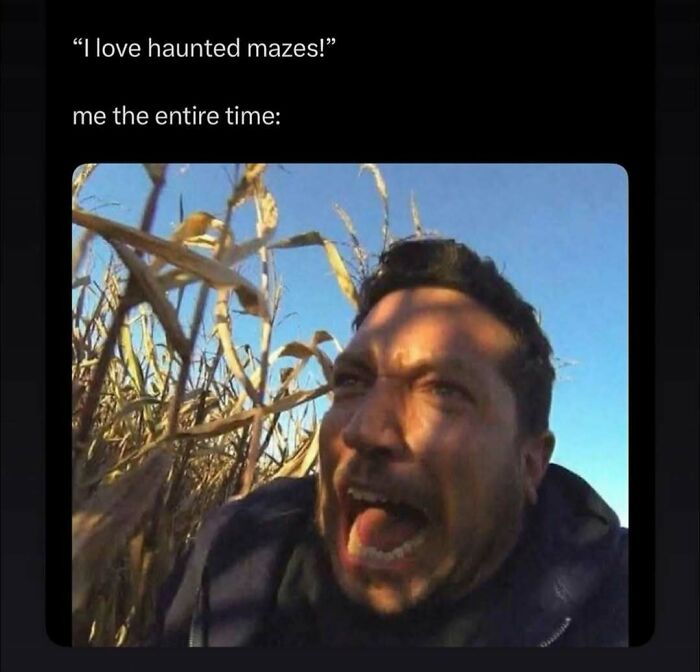 77 Spooky Season Memes That Make Every Other Holiday Feel A Little Boring 77 Spooky Season Memes That Make Every Other Holiday Feel A Little Boring
