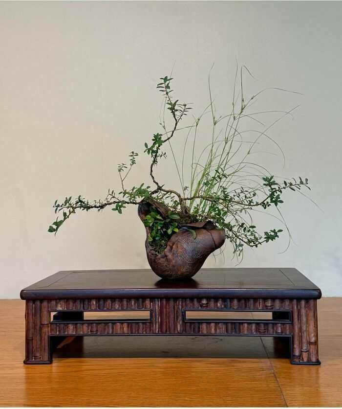 80 Beautiful Pottery Creations That Prove Creativity Has Absolutely No Limits (New Pics)
